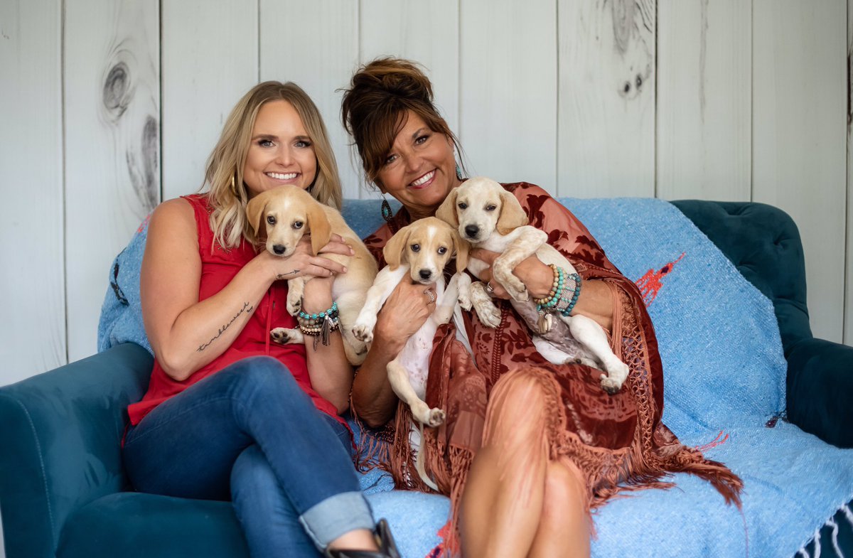 mirandalambert's tweet image. My mom and I founded @MuttNation Foundation 10 years ago. Our dream has always been for every pet to have a forever home. 

Mom’s a great matchmaker and she’ll help you find the perfect dog at our #CMAFest adoption event!
#CMAMuttSpotlight 🐶: Miranda, Brendan and Mcloughlin