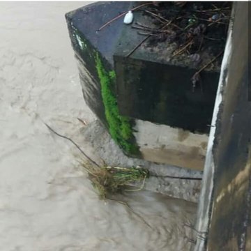 Ver imagen en Twitter