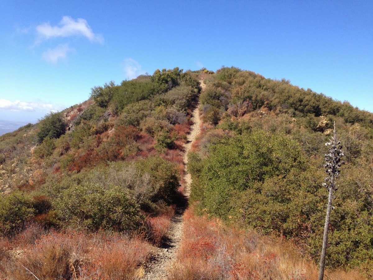 WoodsyAnimation's tweet photo. Hear ye, Trail-gators! It's #NationalTrailsDay! #Trails are a magnificent adventure and gift to all of us.  It's also a great day of service, a chance to pack out any #waste that you find. What an adventure! What a gift! Lend a hand! Take a #hike! https://t.co/ofTRF4bASe