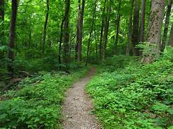 WoodsyAnimation's tweet photo. Hear ye, Trail-gators! It's #NationalTrailsDay! #Trails are a magnificent adventure and gift to all of us.  It's also a great day of service, a chance to pack out any #waste that you find. What an adventure! What a gift! Lend a hand! Take a #hike! https://t.co/ofTRF4bASe