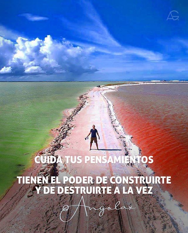 Angolax's tweet photo. Todos los dias nos despertamos con la potestad de elegir!
Opina 👇🏼 #emprendedores #negocios #exito #emprendimiento #motivacion #angolaxemprende #emprendedor #liderazgo #emprender #dinero #Angolax® #marketing #metas #sue #a #libertadfinanciera #marketingdigital #business #em… https://t.co/61nF8kDlby