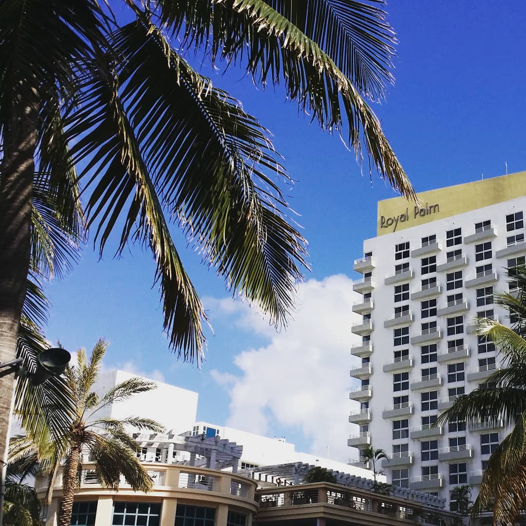 EMiamiBeach's tweet photo. Let's take a walk.. #experiencemiamibeach #miamibeach #mbvca #sobe #southbeach #beachjunkie https://t.co/s1nbtcgCAf https://t.co/onYRMuyJQl