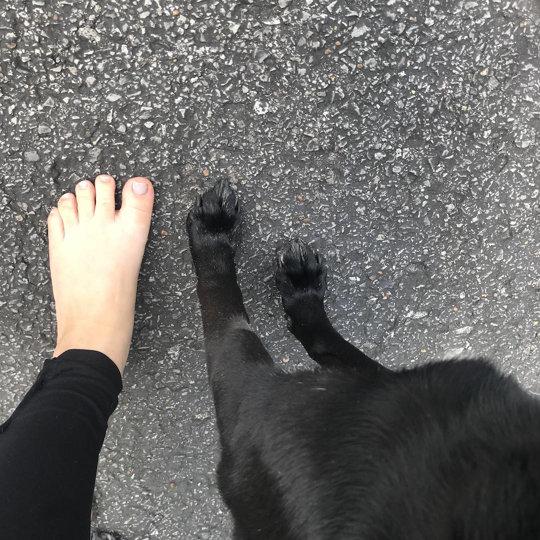Today is #NationalGoBarefootDay! We’re raising awareness for the millions of kids right here in North America whose families can’t afford good shoes. Our goal is to provide new shoes for 25,000 children in need. $1 = 1 pair. Find out how to help here: soles4souls.org/gobarefoot/