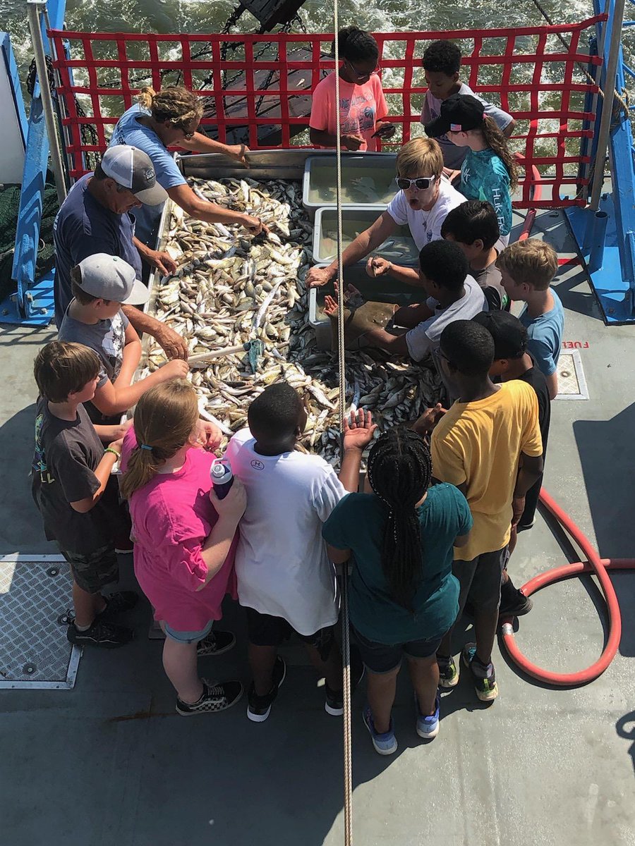 alabamacoastal's tweet image. Final day for the 2019 Mobile Bay Middle School Estuary Corps program where students are learning from @disealab&apos;s Dr. Tina Miller-Way! Learn more at joinACF.org #CreateACleanWaterFuture
