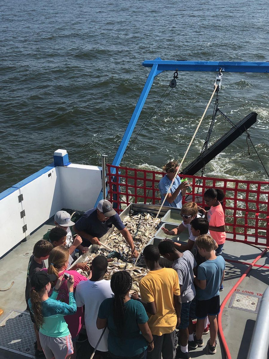 alabamacoastal's tweet image. Final day for the 2019 Mobile Bay Middle School Estuary Corps program where students are learning from @disealab&apos;s Dr. Tina Miller-Way! Learn more at joinACF.org #CreateACleanWaterFuture