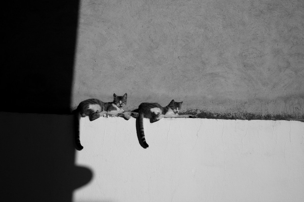 2 chats
#photography #chats