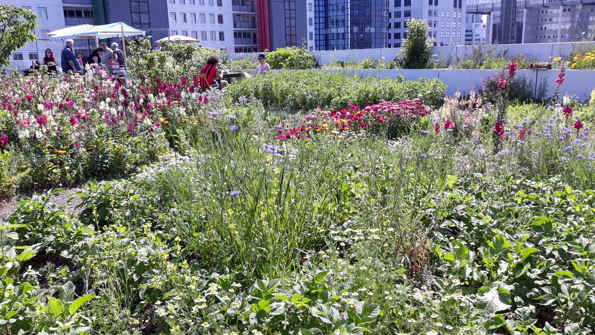 <a href="/d_akkers/">DakAkkers</a> Rotterdam bezocht..Wat Gaaf !!! en gezellig met horeca.

Morgen nog te bezoeken  Open Dakdagen #Rotterdam