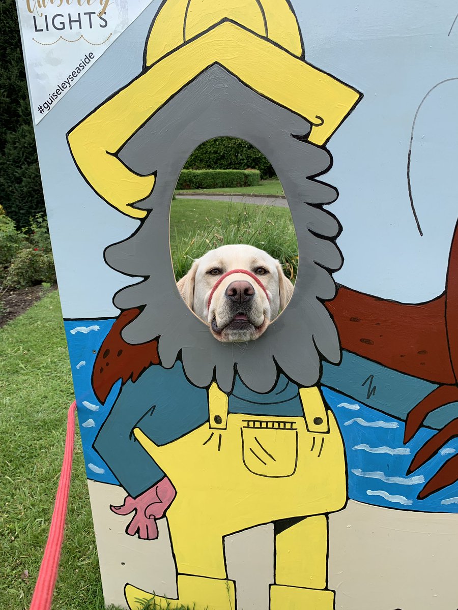 It’s not only the humans who get to enjoy our seaside face boards at the top@of Towngate Guiseley... Brody the Labrador enjoyed being a fisherdog and Octopup earlier today. Get your doggie selfies on Twitter &amp; Facebook.
#guiseleyseaside#communityevent#guiseleylights#guiseley