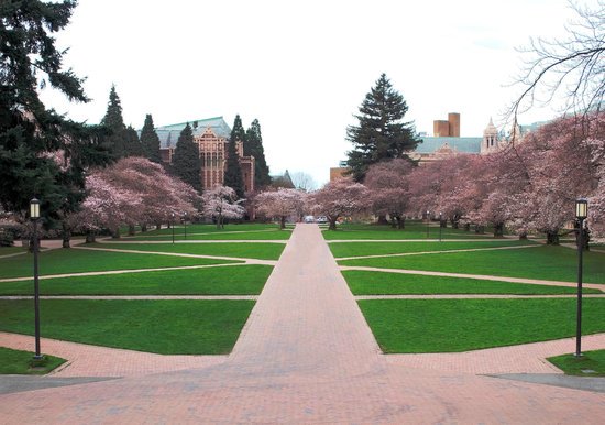 Director¹ Washington University ✦ tweet media