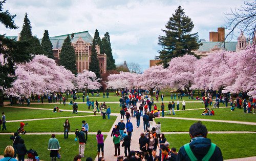 Director¹ Washington University ✦ tweet media