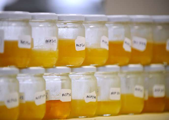 Le miel authentique, un aliment en voie de raréfaction basseychelles.wordpress.com/2019/06/01/le-…