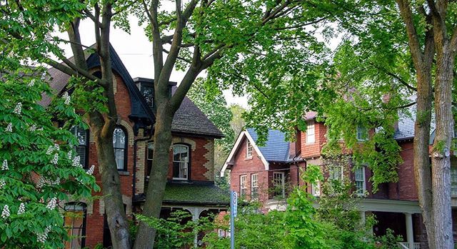 jimflynn7's tweet photo. Exploring quiet pockets of the city. Sometimes you forget they still exist. .
.
.
.
#toronto #beautiful #old #architechture #history #quiet #exploretoronto #mycity #bornandraised #summer #afternoonstroll https://t.co/BJTSx1TsFm