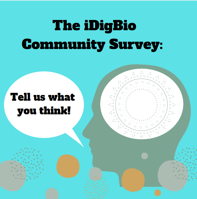 Tell us what you think graphic