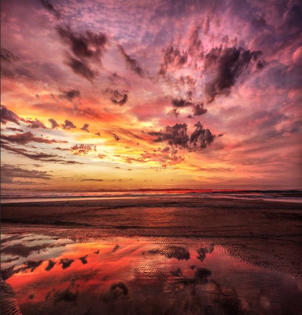 Anaheim Express Inn tweet media