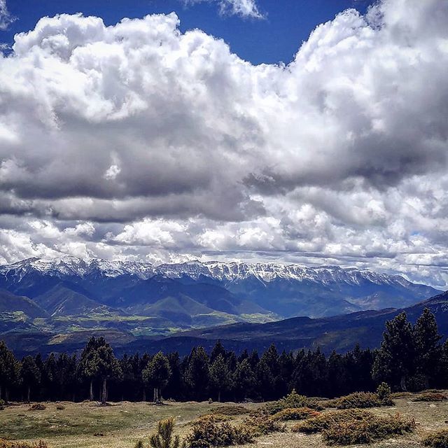 NaturZip's tweet photo. ESPECIAL CERDANYA #6 🏔️☁️
___________________________
#Cerdanya #Cadi #Pirineus #Catalunya #catalunyaexperience #mountain #mountains #mountaineering #mountaineer#landscape #cloud #clouds #cloudporn #landscapephotography #landscape_lover #landscaper #naturelovers #naturephoto… https://t.co/j5Tm3ka8Ar