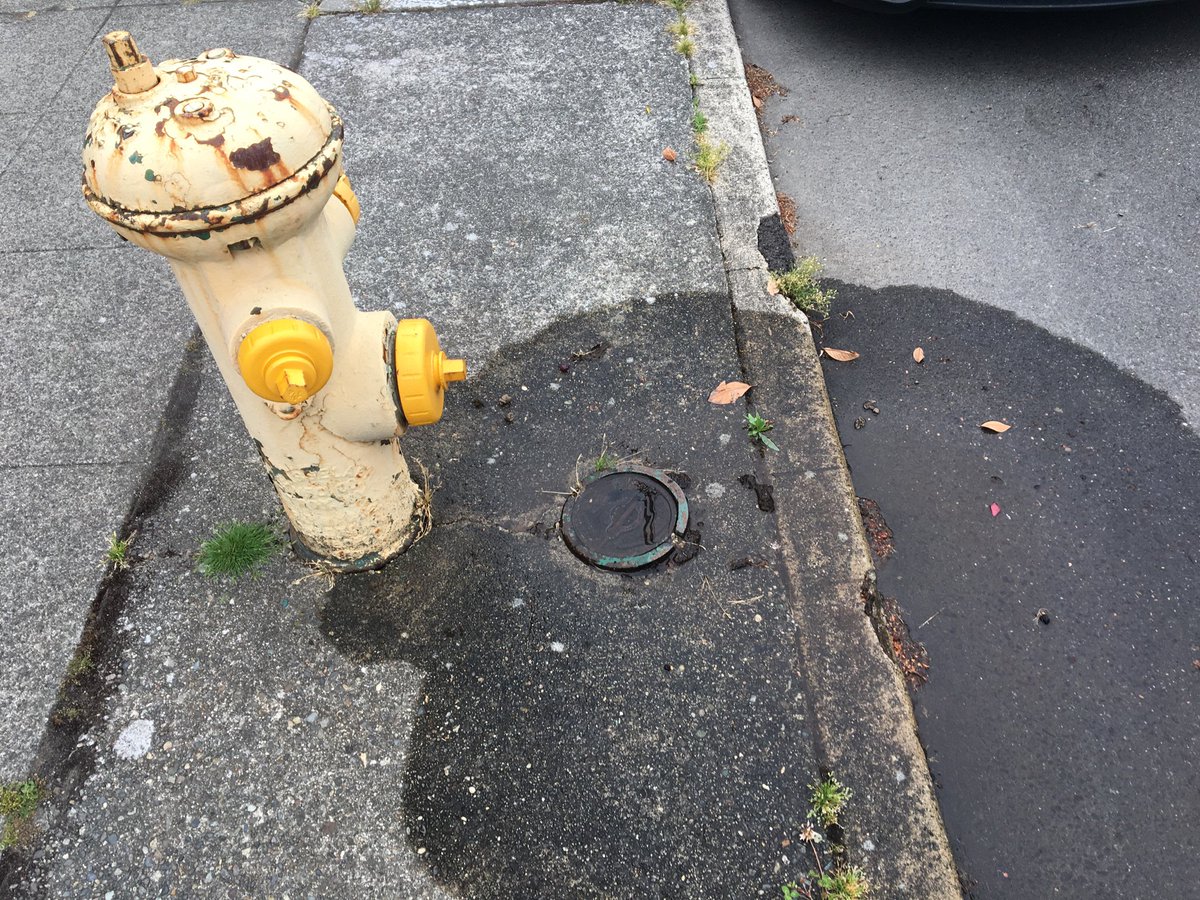 Thatcher Imboden tweet media