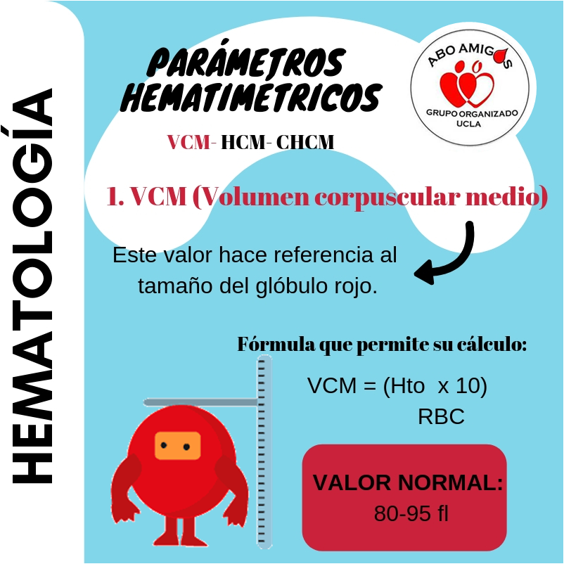 vcm hcm valores de referencia