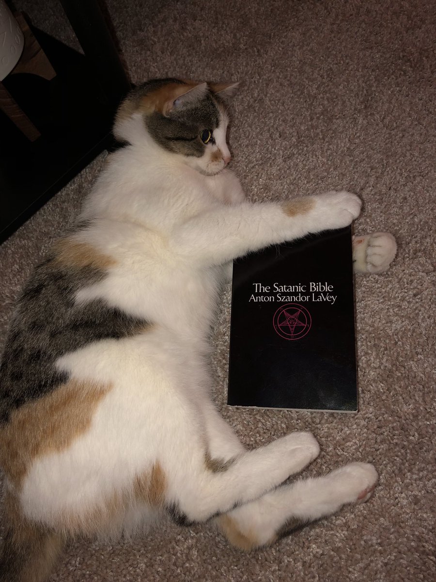 casshole0372's tweet image. I heard it was Caturday @ChurchofSatan