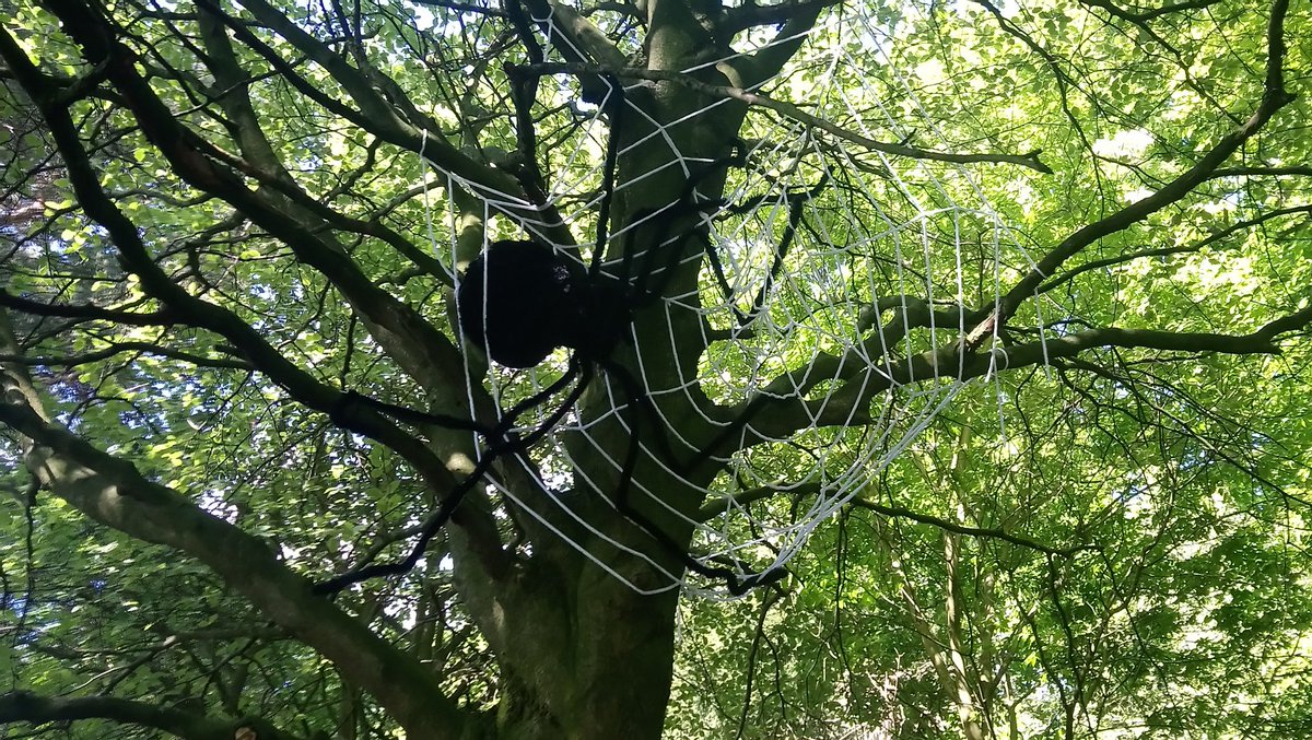 NTOrmesbyHall's tweet photo. The half term #bugstrail continues tomorrow and runs through the house and into the garden. Can you find the #garden dwelling #bugs, including this giant spider, who has made his home in the #naturalplayarea
#ormesbyhall #giantspider #spiders
#mayhalfterm #bugsdiscoverytrail https://t.co/Pr75XQ2gPL
