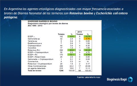 JuanCMuriel's tweet photo. Hoy hablamos sobre Diarrea Neonatal de los Terneros, la principal causa de muerte de terneros en las primeras semanas de vida. El control de los factores predisponentes, manejo del rodeo y vacunación son las claves del control de brotes #RotatecJ5
#BiogénesisBagó @HoradelCampo590 https://t.co/at3t0EuxGW
