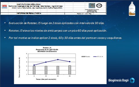 JuanCMuriel's tweet photo. Hoy hablamos sobre Diarrea Neonatal de los Terneros, la principal causa de muerte de terneros en las primeras semanas de vida. El control de los factores predisponentes, manejo del rodeo y vacunación son las claves del control de brotes #RotatecJ5
#BiogénesisBagó @HoradelCampo590 https://t.co/at3t0EuxGW