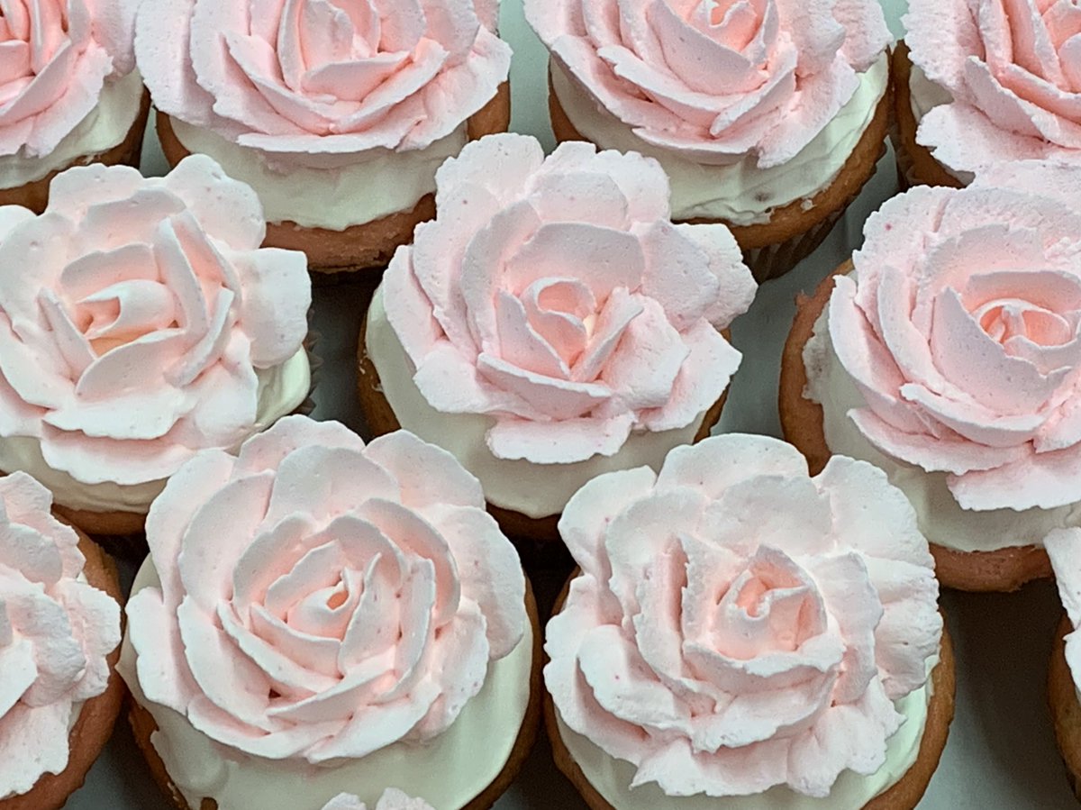 Colleen Marchese tweet media