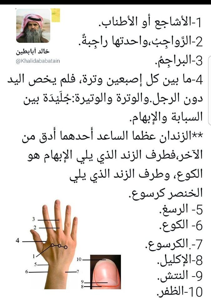 ahmadd_1001's tweet photo. @Ahmadj023 @Osaimi0543 جزاك الله خيرا .. وهذه إفادة أيضًا.. https://t.co/fFz1m4cDvE