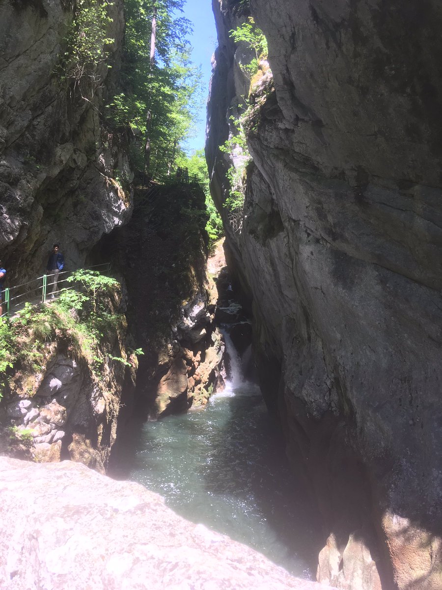 OlivierPiguet's tweet image. Les Gorges de l‘Areuse. Von #Noiraigue bis #Boudry und retour mit dem Zug. 🥰 1a Wanderung... aber ich bin #fixundfoxi 🤪😂