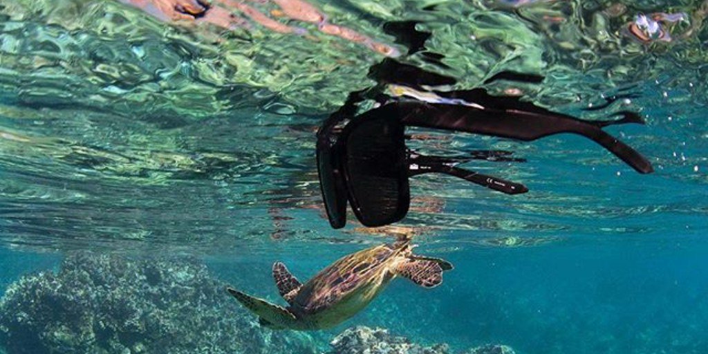 MarchonEyewear's tweet photo. They Float! 🏄 The @dragonalliance H2O floatable collection is designed to provide comfort, style and peace of mind during all water sport activities (style: The Baile H2O). #TheyFloat https://t.co/TnJXAyz1pY