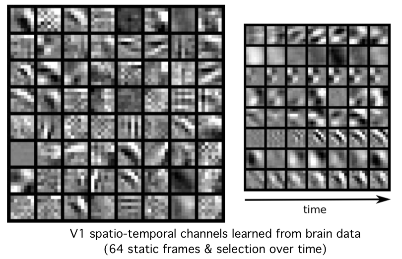 seelikat's tweet photo. We ( @artcogsys ) have a new preprint: https://t.co/RMVbIRqX5W

We propose a modeling framework that learns population receptive fields, layer-wise representations and the flow of neural information in a single end-to-end convolutional neural network model trained on brain data. https://t.co/Cn30v4DZHB