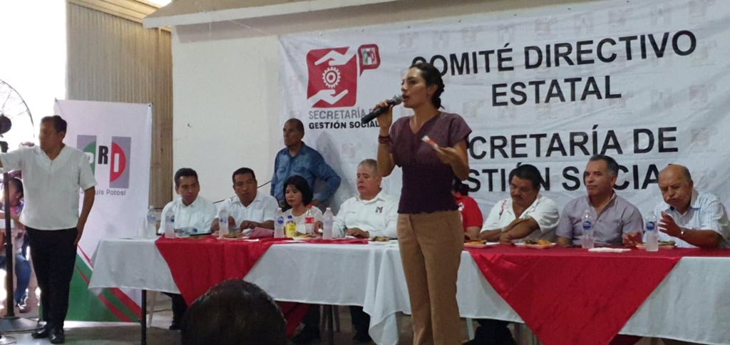 Mely_Romero's tweet photo. La huasteca Potosina es una belleza! Aquí, en los municipios de Tamazunchale, Ciudad Valles y Ciudad Fernández,
tuve la oportunidad de platicar con las familias sobre nuestros programas del #PlanNacionalDeGestión.

#NosTocaMéxico
#RedSocial https://t.co/UsPXTrwZLu