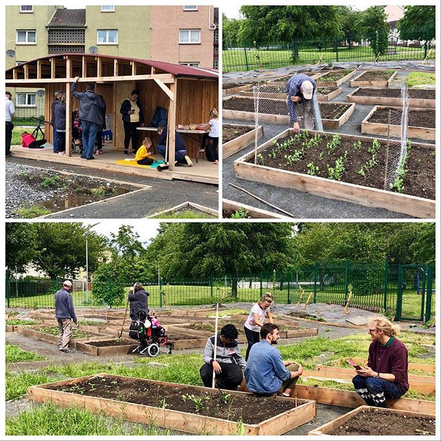 GrowTogetherEd's tweet photo. Lots going on in the Murrayburn &amp; Hailesland Community garden this afternoon. #communitygarden #murrayburn #hailesland #westerhailes https://t.co/eYSH7WIyWE https://t.co/swPrwgd40s