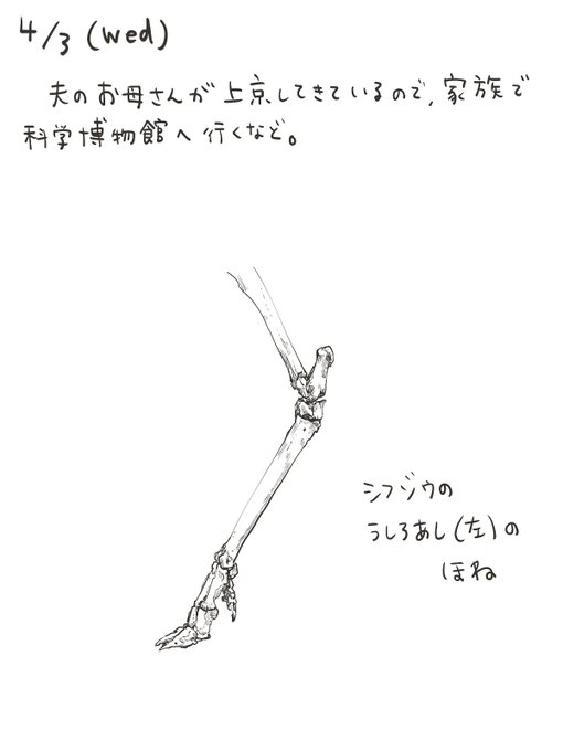 ラーメンズのtwitterイラスト検索結果 古い順 ラーメンズのtwitterイラスト検索結果 古い順