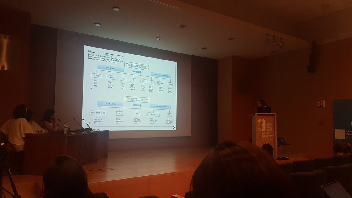 SPAPatologia's tweet photo. Última palestra com a Dra. Helena Barroca sobre linfomas 👏😊 #CursoPatologiaMolecular #NISPAP #SPAP #IPATIMUP #Pathology https://t.co/5bwzHxRG5r