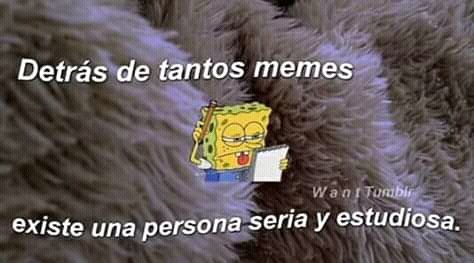 Generador De Memes Online Plantillas Para Memes Momos 2019