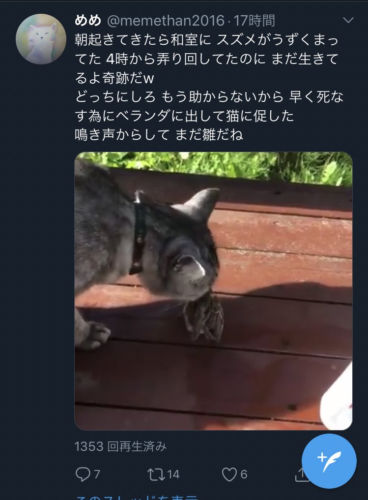 もっこり Kirikira71 最後 足で踏み潰して殺しています Twitter