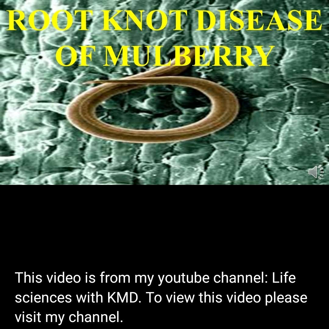 KmdWith's tweet image. 