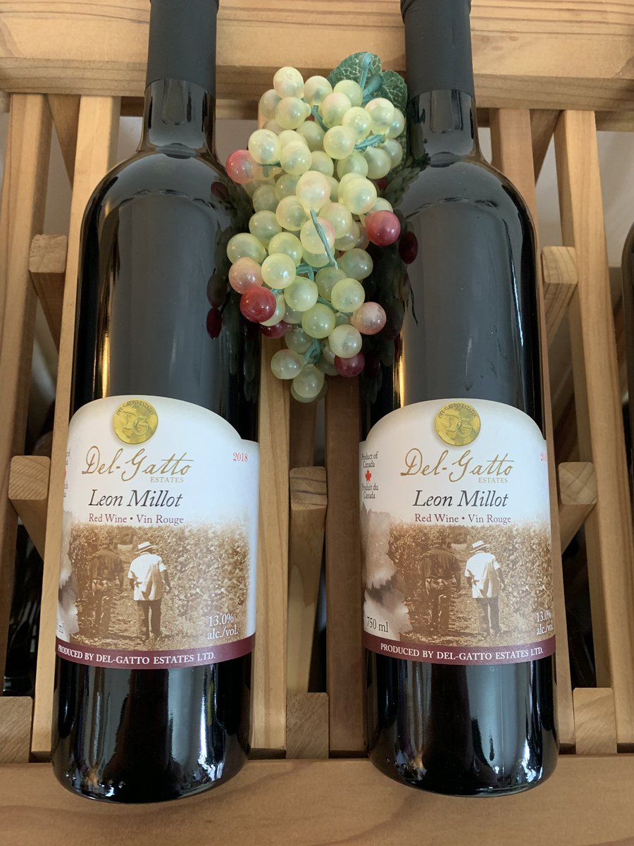 CountySips's tweet photo. #leonmillot is now available @DelGattoEstates a fabulous #hybrid #varietal only 26 cases @PECWines @WineCountryOnt #pec @IanInKingston loves this #wine https://t.co/aLFmmaBF06