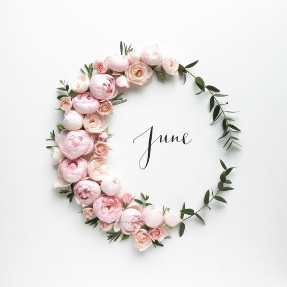 MatchbookClub's tweet photo. Hello June! 
So many things to look forward to here with our members, including a wreath-making fête, and celebrating our 8 year anniversary of the book club!! 🎉🎉🎉 
#bookclub https://t.co/MzOybl2DXU