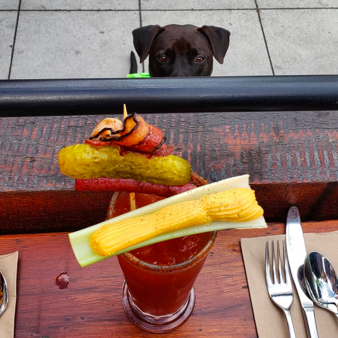 Best photo ever from @wanderwoof_carlton of our Big Dog Caesar.  Is it the cheese, pickle, salami or #bacon that catches his eye?  Our #Caesar makes everyone look.  #moderndiner