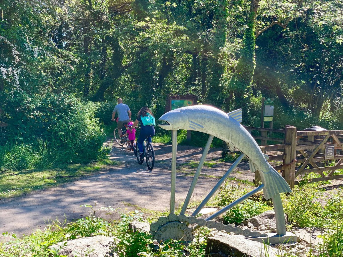 VisitCamelTrail's tweet photo. Take the #CamelTrail inland to Poley’s Bridge and see this magnificent sculpture of the leaping Salmon. Click the following link to download a free trail map which shows the route to this location > https://t.co/vbCc1XpRdt https://t.co/fuFGCSRpjl