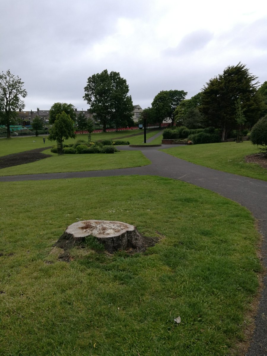 OryxCrake's tweet photo. Day 1 of @cumbriawildlife #30DaysWild spent exploring our local park and the lovely patch of wildflowers planted by @workingtontco spotted some busy bees flower-hopping too 🐝🌸🌲🌳 #wilderfuture https://t.co/Fl62ViK4Bo