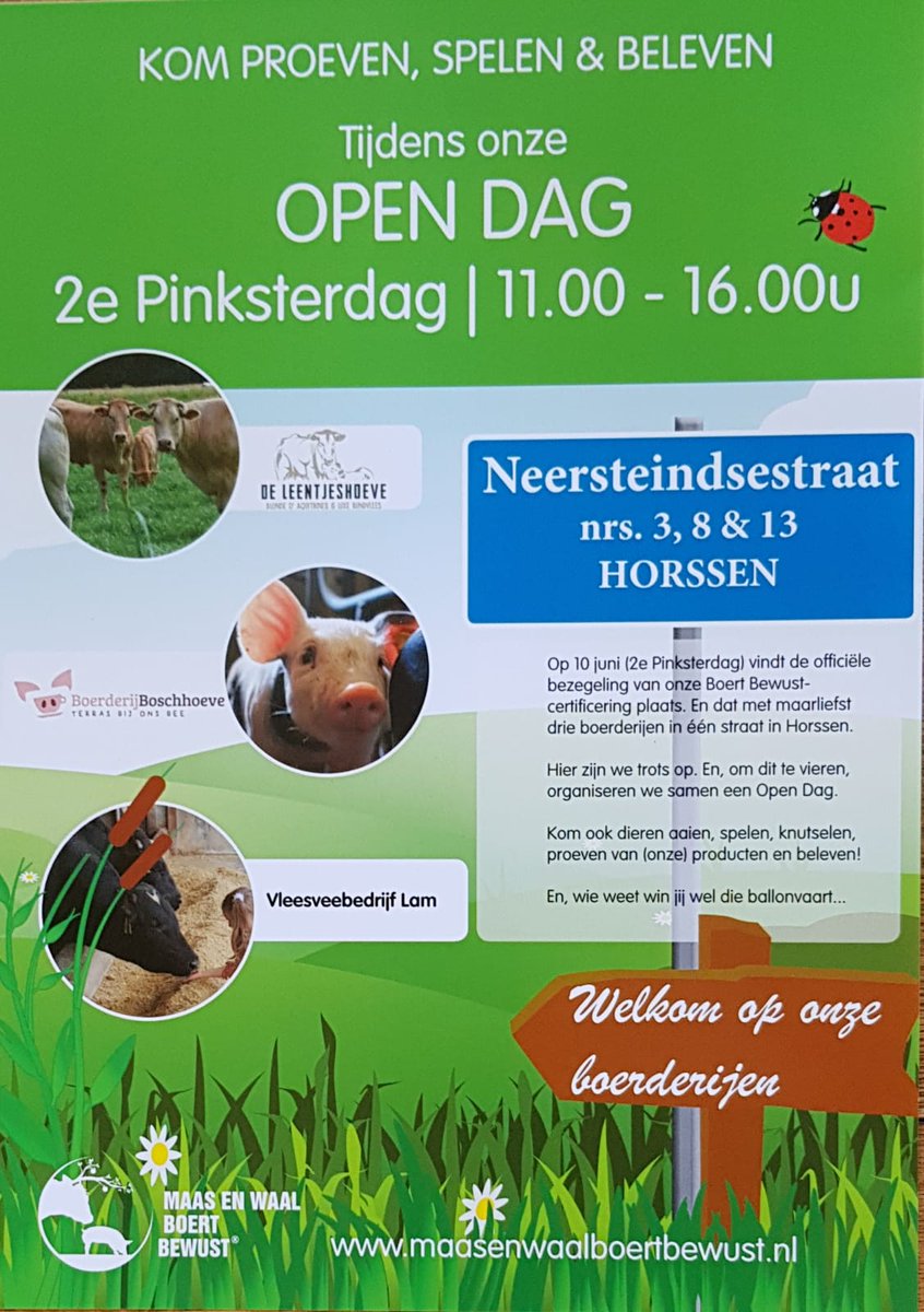 beaboschhoeve's tweet photo. https://t.co/OL663fOR07