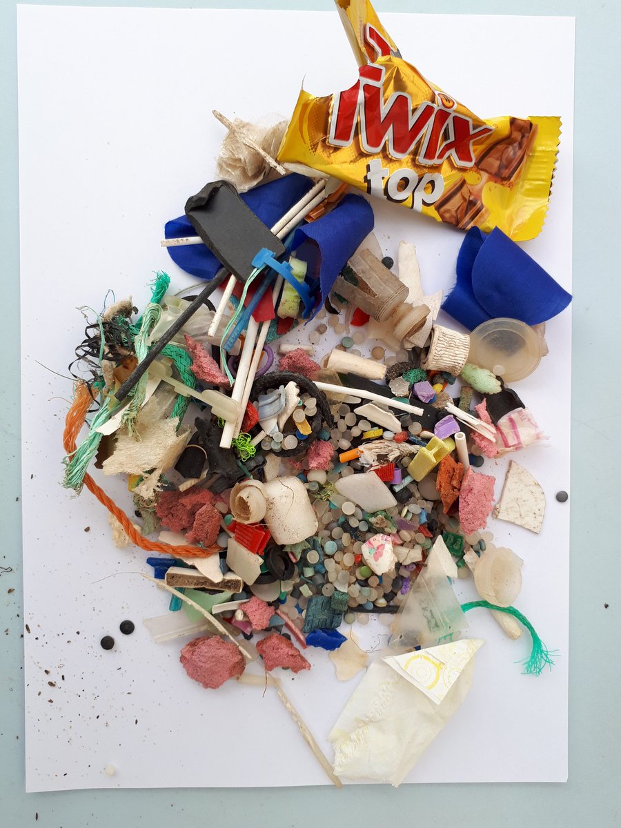 Philippa Klaschka tweet media