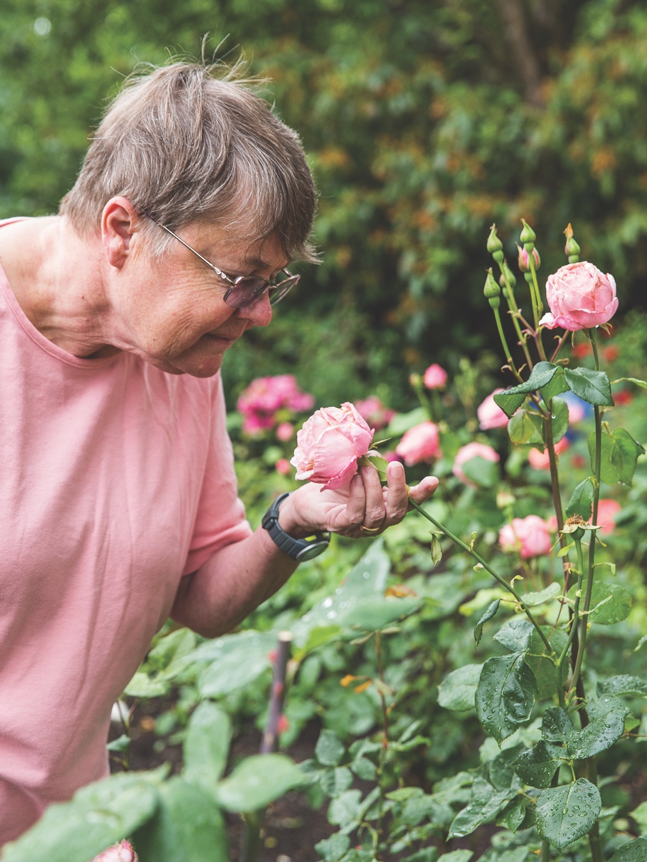 terwilligerplaz's tweet photo. There’s always time to stop and smell the roses at Terwilliger Plaza. 🌹😊 Being in nature is just part of being here.
.
.
.
.
#TerwilligerPlaza #PDX #Portland #Community #PDXLife #Retirement #Nature #Roses #PDXNature #ExplorePDX https://t.co/vl1biBx9FS