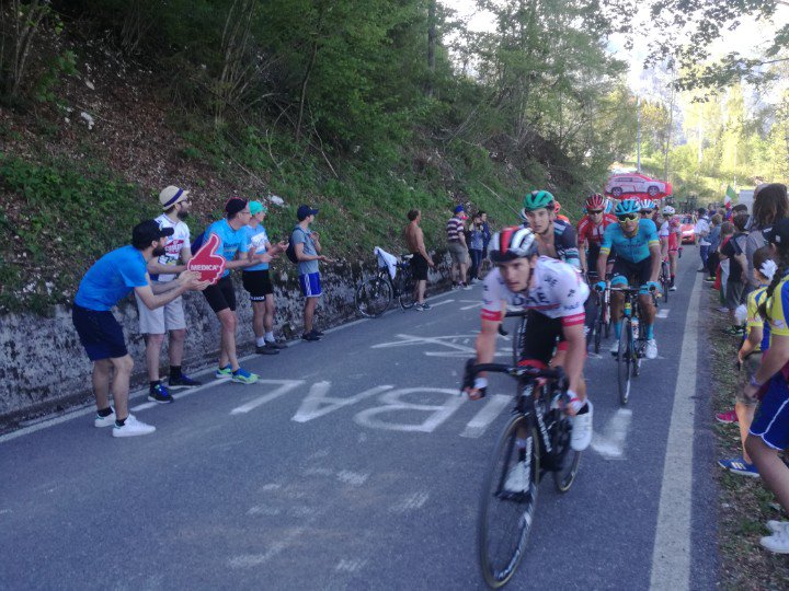 Quelchepassa's tweet photo. Assaggi di Monte Avena #Giro102 #InGiroColGiro #QCPontheroad https://t.co/f2fEU8T19I