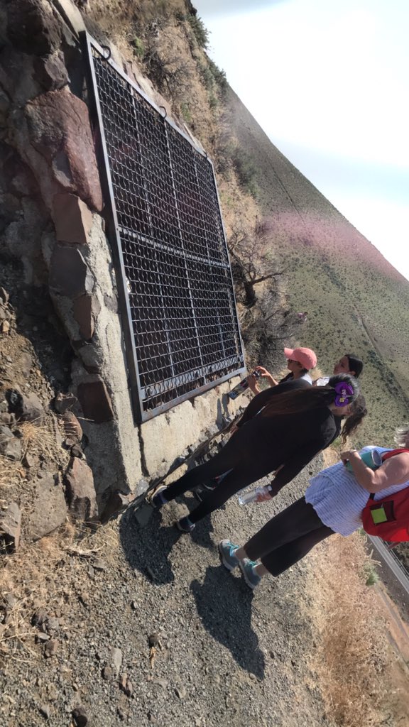 jffrymcc's tweet image. 3rd grade #fieldtrip so much fun! Learning about wind turbines and ginkgo prettified forest! #schoolofheroes