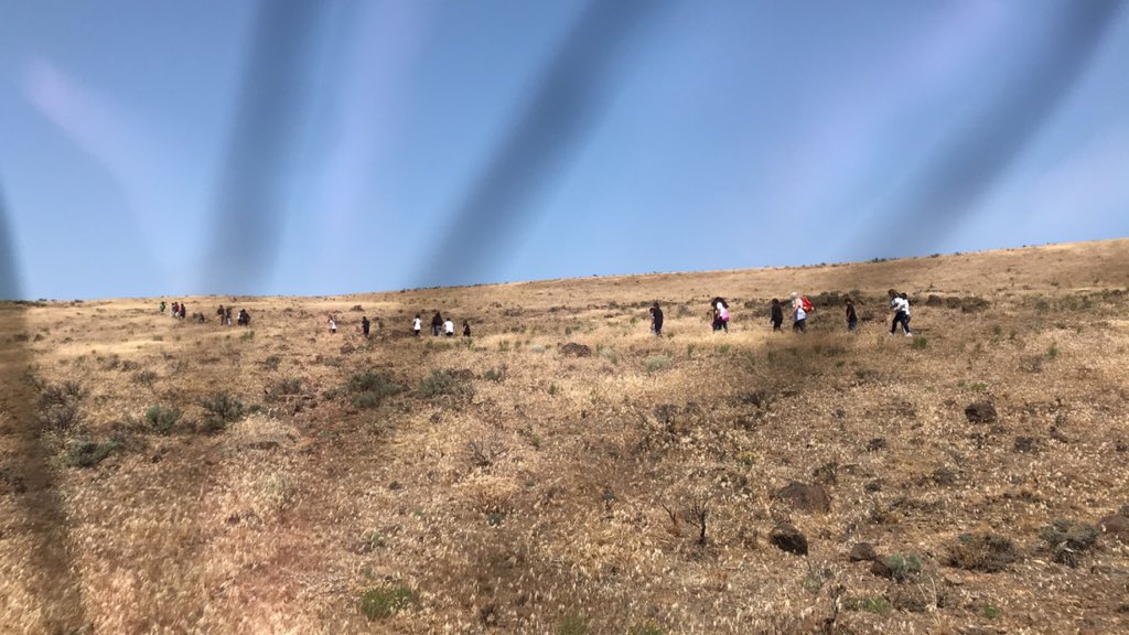 jffrymcc's tweet image. 3rd grade #fieldtrip so much fun! Learning about wind turbines and ginkgo prettified forest! #schoolofheroes