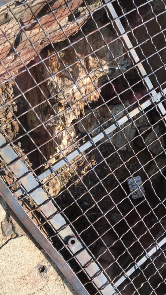 jffrymcc's tweet image. 3rd grade #fieldtrip so much fun! Learning about wind turbines and ginkgo prettified forest! #schoolofheroes