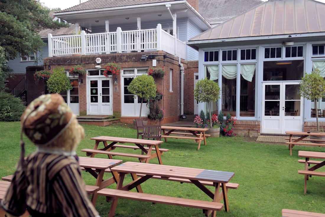 Toddy Furrington tweet media